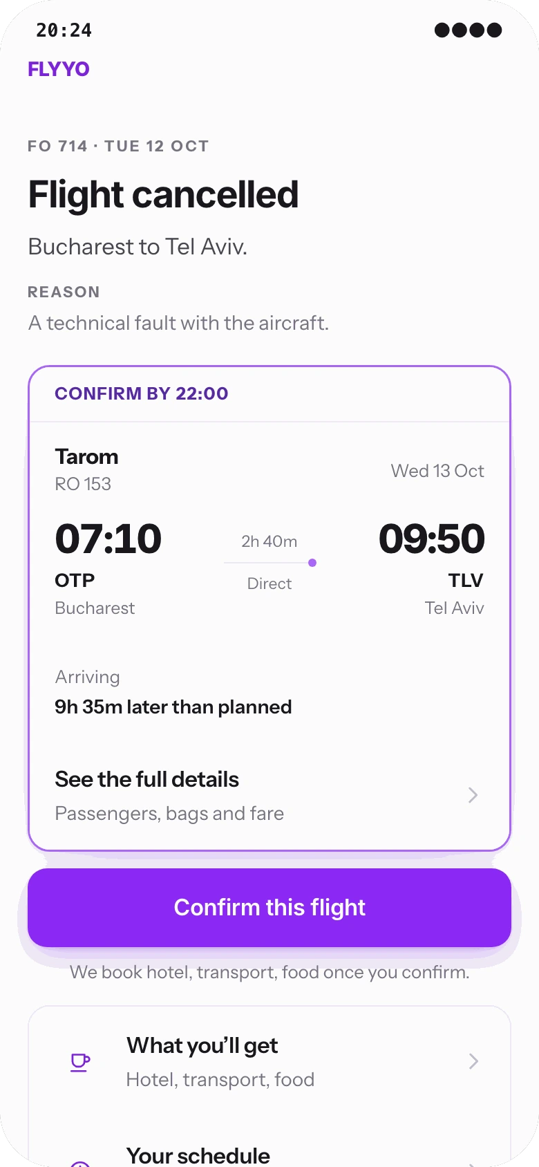Demonstration passenger screen showing a proposed replacement flight, confirmation deadline and care information.